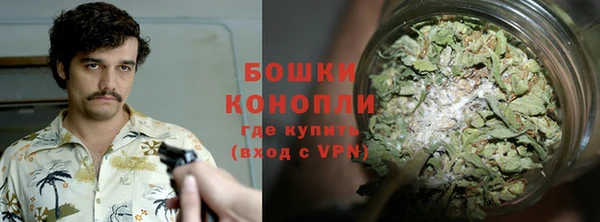шишки Белоозёрский