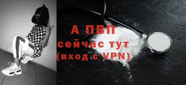 шишки Белоозёрский