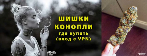 шишки Белоозёрский