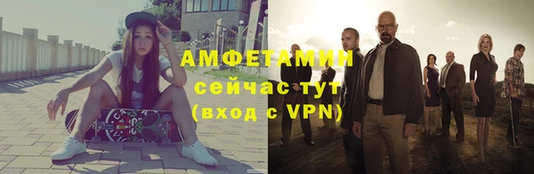 индика Михайловск