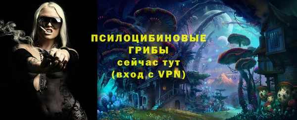 MDMA Беломорск