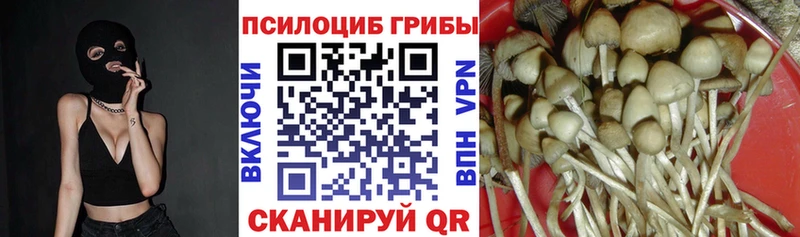 Псилоцибиновые грибы ЛСД  Костерёво 
